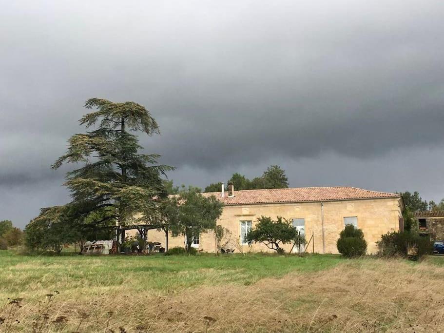 Beau Gite Dans Domaine Viticole & Arboricole Cursan Luaran gambar